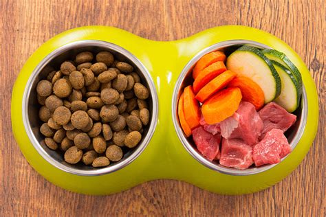 You can cover it and store it in your refrigerator but even then, it should be used fairly soon or it will spoil. Farm to Fido's Bowl: How to Make Homemade Dog Food ...