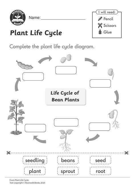 Plant Sequencing Worksheet