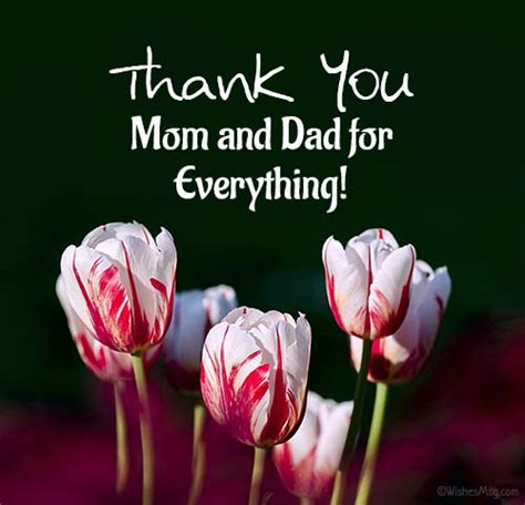 Thank You Message For Parents Appreciation Quotes