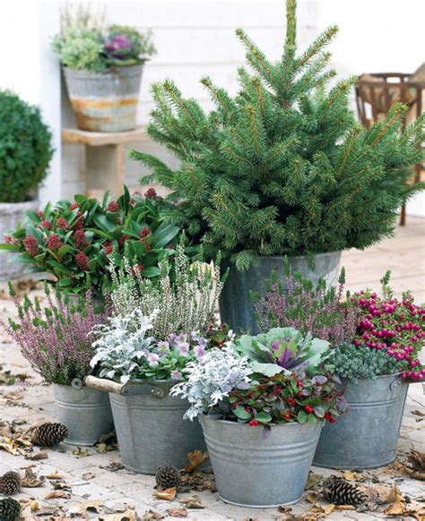 28 Beautiful Outdoor Winter Container Gardening Ideas Vanchitecture