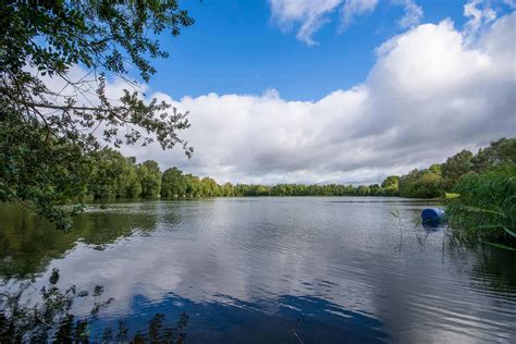 Swan Lake Bluebell Lakes