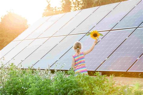 What Are Community Solar Gardens How Do They Work Canstar Blue