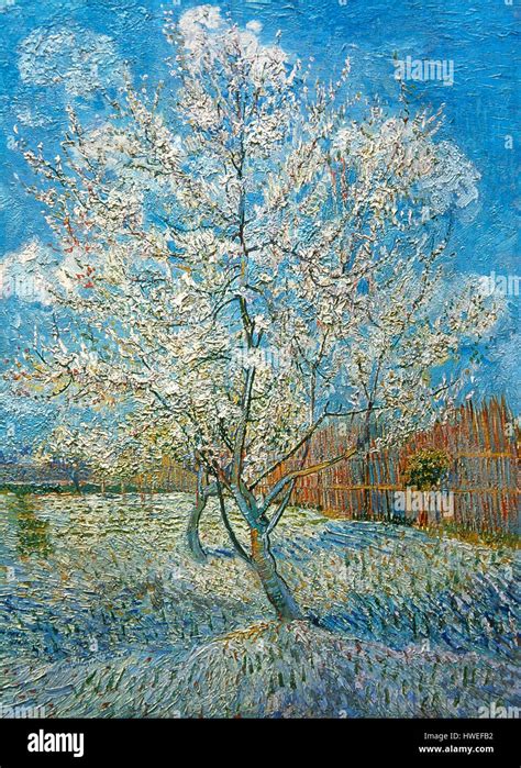 Vincent Van Gogh 1853 1890 Dutch Post Impressionist Painter Peach
