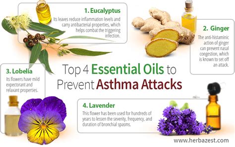 Top 4 Essential Oils To Prevent Asthma Attacks Herbazest