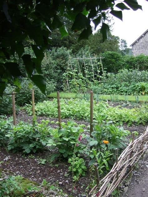 15 Herb And Vegetable Garden Ideas Yard Surfer Small Backyard Gardens