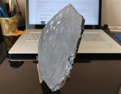 Northwest Africa 12520 Ll6 Melt Breccia Sv Meteorites