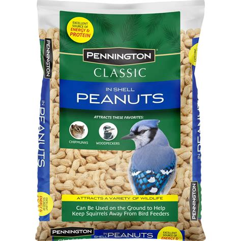 Pennington In Shell Peanuts Wildlife And Wild Bird Food 5 Lb Bag