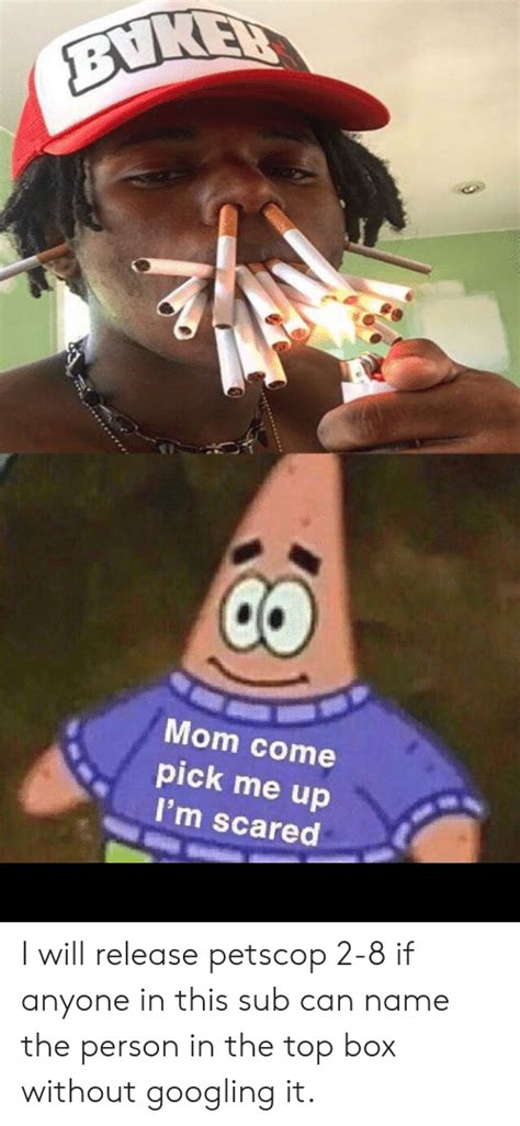 Mom Come Pick Me Up Im Scared I Will Release Petscop 2 8
