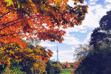 Fall colours are at their peak in Toronto right now