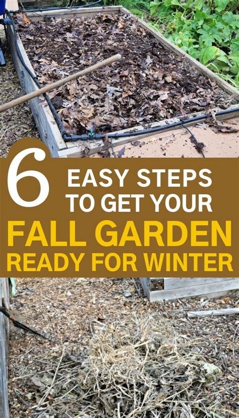 6 Simple Tips To Get Your Garden Ready For Winter Autumn Garden