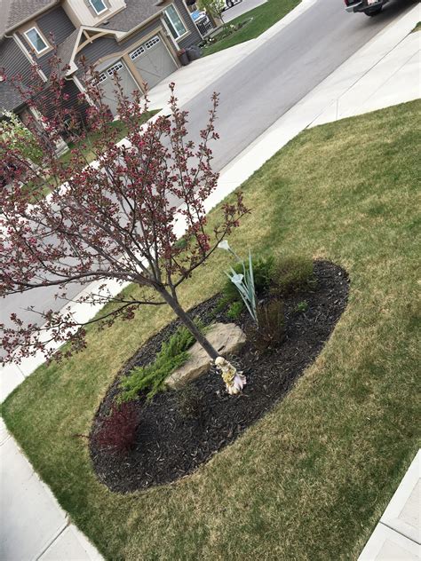 Great Job Rocky View Yards Landscaping