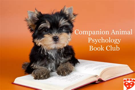 This month our book club was on the book, love that dog by sharon creech. Animal Book Club