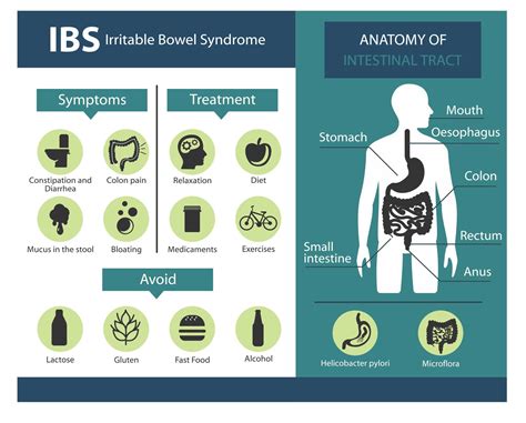 All You Need To Know About Irritable Bowel Syndrome Ibs