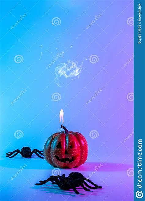 Halloween Spider Scary Spooky Pumpkin Black Night Spider On Night