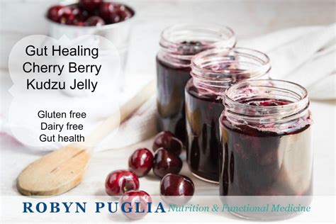 Gut Healing Cherry Berry Kudzu Jelly Food Gut Healing Jelly