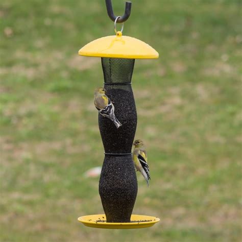 Perky Pet Finch Yellow Metal Hanging Squirrel Resistant Tube Bird
