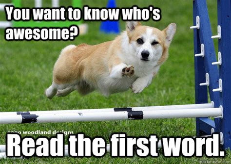 You Want To Know Whos Awesome Read The First Word Compliment Dog