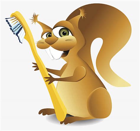 Brush Squirrel Illustrations Royalty Free Vector Graphics And Clip Art