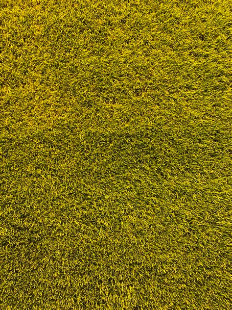 Free Grass Image On Unsplash Textured Background Grass Textures