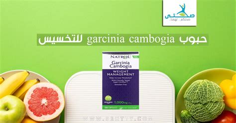 فوائد أضرار وسعر حبوب جارسينيا كامبوجيا garcinia cambogia للتخسيس صحتي