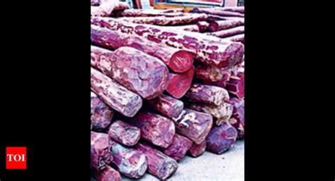 Smugglers Held Red Sanders Worth Cr Seized This Year Ap Task Force Hyderabad News