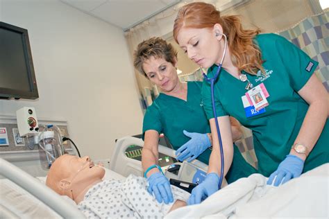 Overview Of Msn Degree Program For Registered Nurses