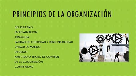 Tomidigital Organización Como Proceso Administrativo