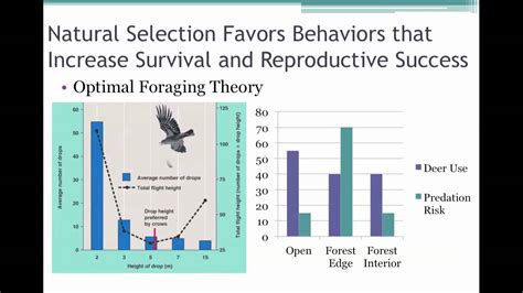 natural selection and sexual selection drive the evolution of behavior ecology chapter 51 final