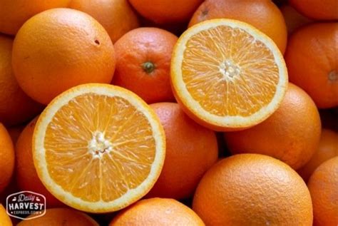 Valencia Oranges 1lb Daily Harvest Express Organic Oranges