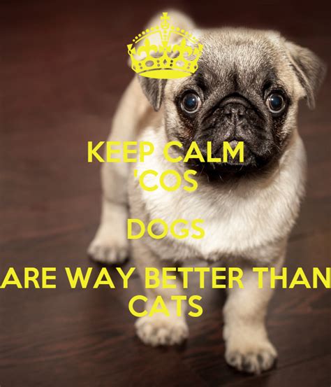 Keep Calm Cos Dogs Are Way Better Than Cats Keep Calm