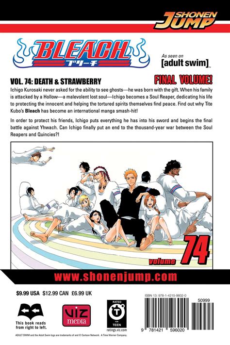 Bleach Vol 74 Book By Tite Kubo Official Publisher Page Simon