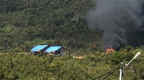Kkb Papua Buat Ulah Rumah Warga Dan Dua Sekolah Dibakar Setengah Jam