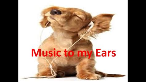 Music To My Ears Vid Youtube