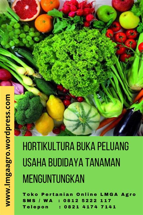 17 contoh usaha makanan ringan yang sangat menjanjikan. Hortikultura Buka Peluang Usaha Budidaya Tanaman ...