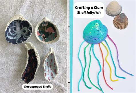 25 Creative Clam Activity Ideas For Kids Teaching Expertise