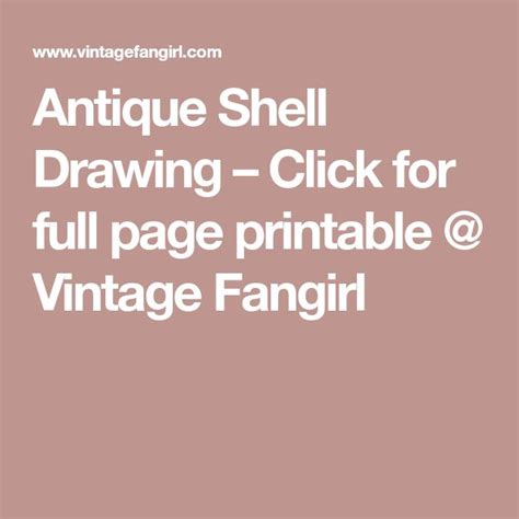 Antique Shell Drawing Click For Full Page Printable Vintage Fangirl