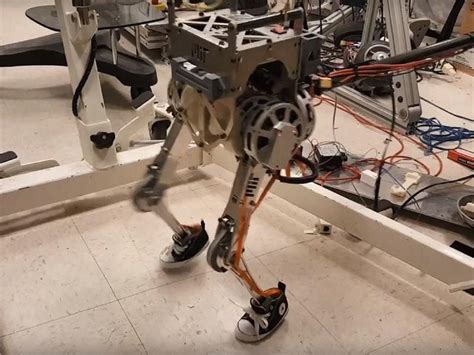 Two Legged Robot Can Mimic Human Balance Say Researchers Express And Star
