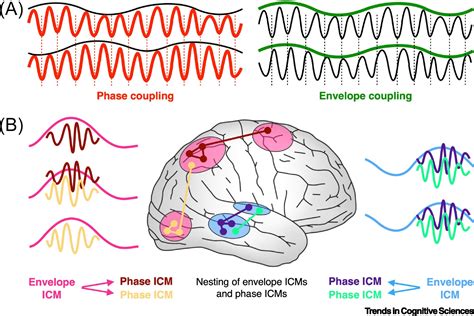 dynamic functional connectivity causative or epiphenomenal trends in cognitive sciences