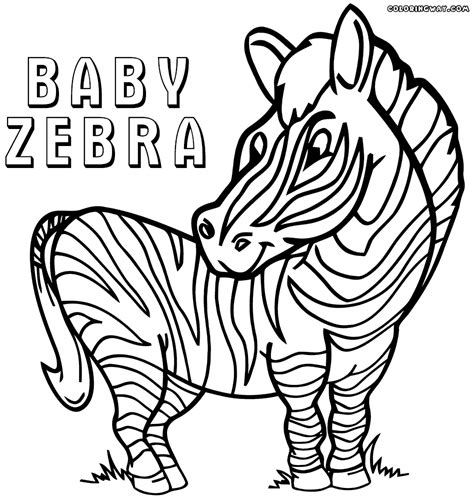 Zebra Coloring Pages Coloring Pages To Download And Print
