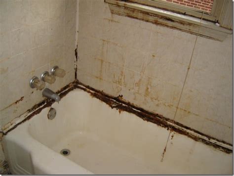 remove black mold  bathtub