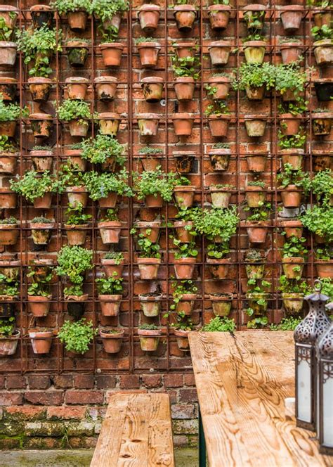 Most Amazing Living Wall And Vertical Garden Ideas Foxy Oxie