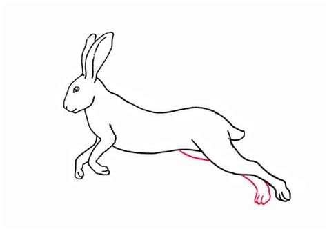 How To Draw A Hare Part 3 Easy Animals 2 Draw
