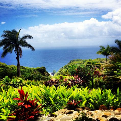 Maui-Jurassic Park rock- the opening scene in the iconic movie! My