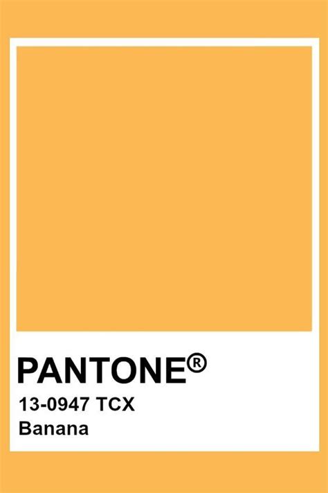 Pantone Banana Pantone Palette Pantone Colour Palettes Pantone Color