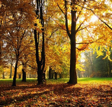 Autumn Season High Definition Wallpapers High Definition Backgrounds