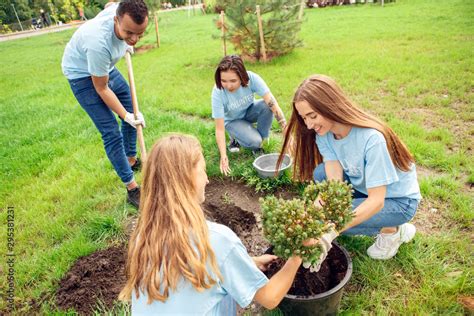 Volunteering Young People Volunteers Outdoors Planting Together