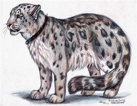 Snow Leopard Commission By Natsumewolf On Deviantart Snow Leopard