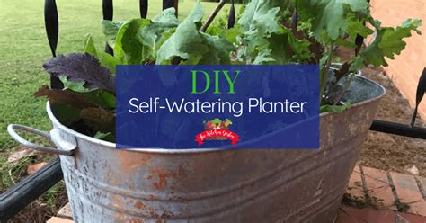 20 Diy Self Watering Planters