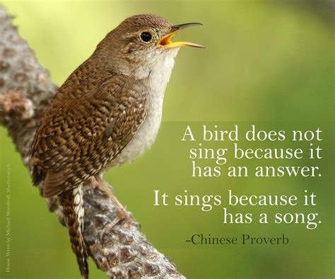 Inspiration American Bird Conservancy Words Of Hope Great Words
