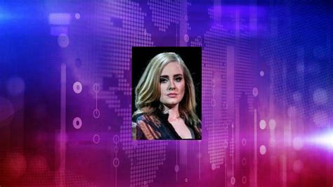 Fame Adele Net Worth And Salary Income Estimation Apr 2024 People Ai